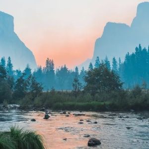 Meet your Posher, Jane